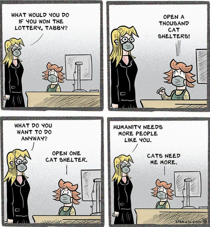 3. Humanity Needs More People Like Tabby, but Cats Need Her More