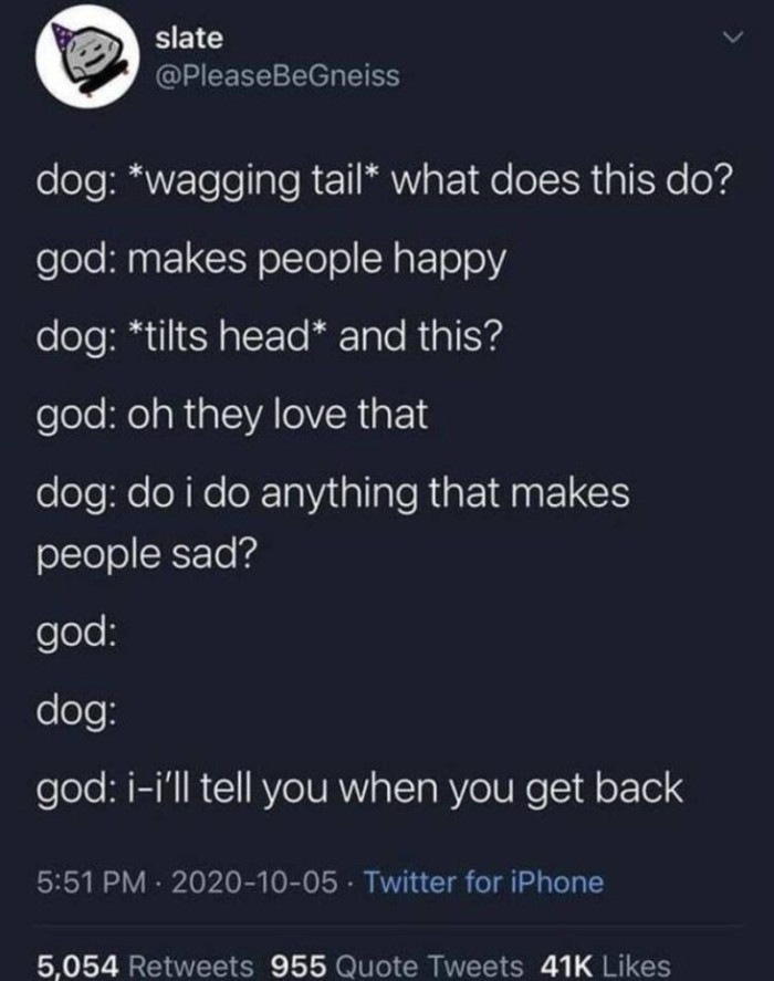 12. Take our dogs away forever, and we'll be so sad