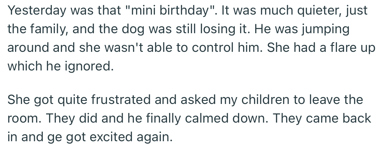 Unfortunately, OP’s SIL couldn’t control her service dog during the party. This certainly got OP concerned