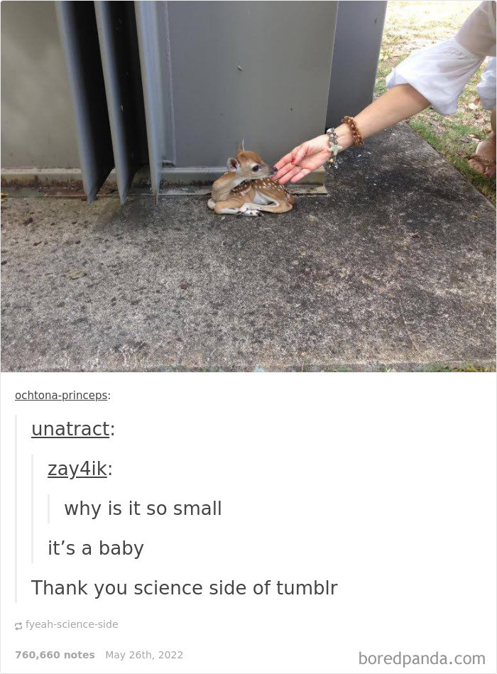 1. Lol... It's a baby what?