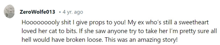 Hooooooooly cat-lover instincts, right? Kudos to the ex and anyone who'd unleash 