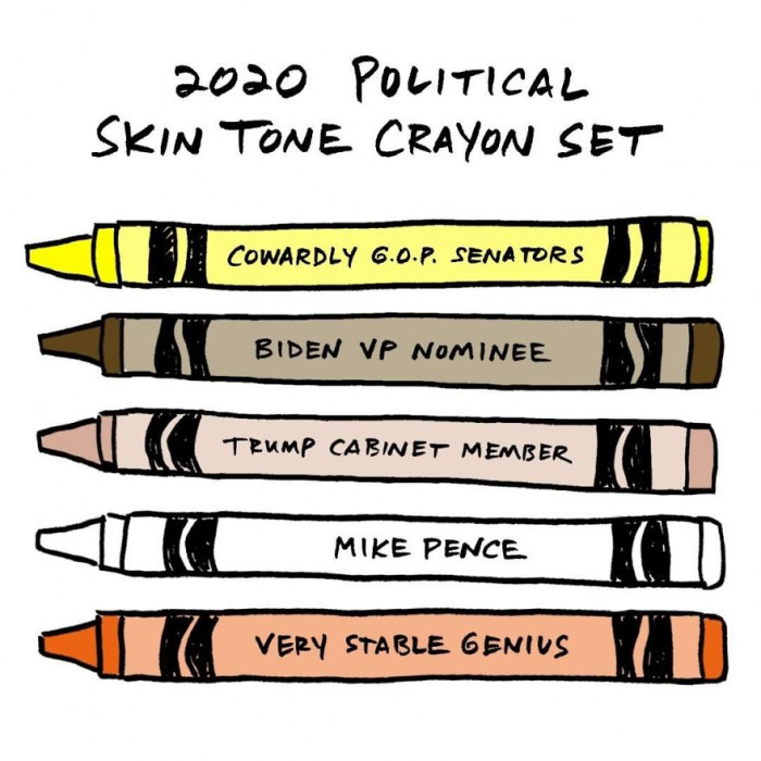35. A Political Crayon Set in 2020