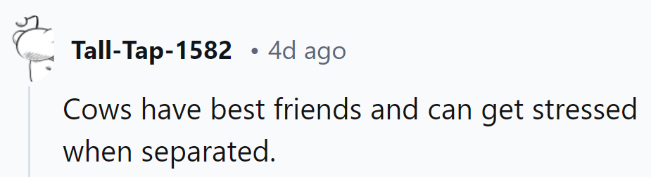 Cows: proving that even in pastures, BFFs can cause pasture.