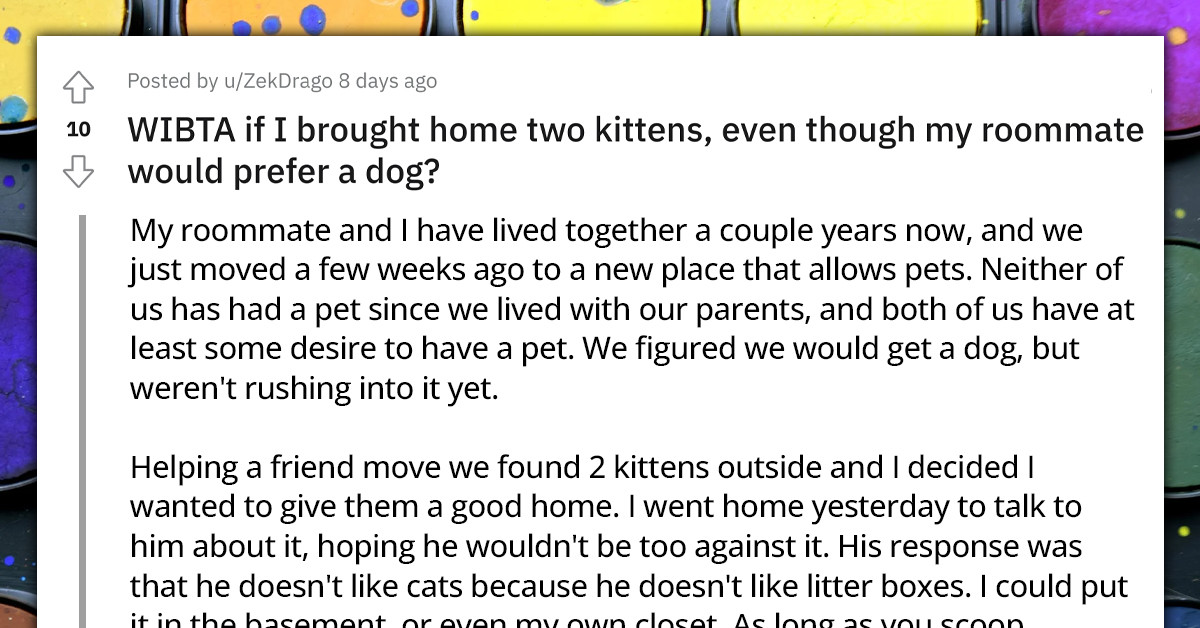 Redditor Wants To Bring Home Two Kittens Even Though Their Roommate Prefers A Dog