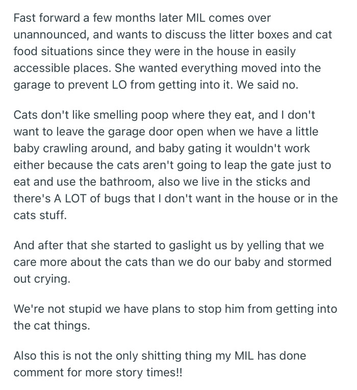 MIL Barged into Their Home and Tried Enforcing Her No-Cat Policy, but Things Didn’t Go as Planned for Her