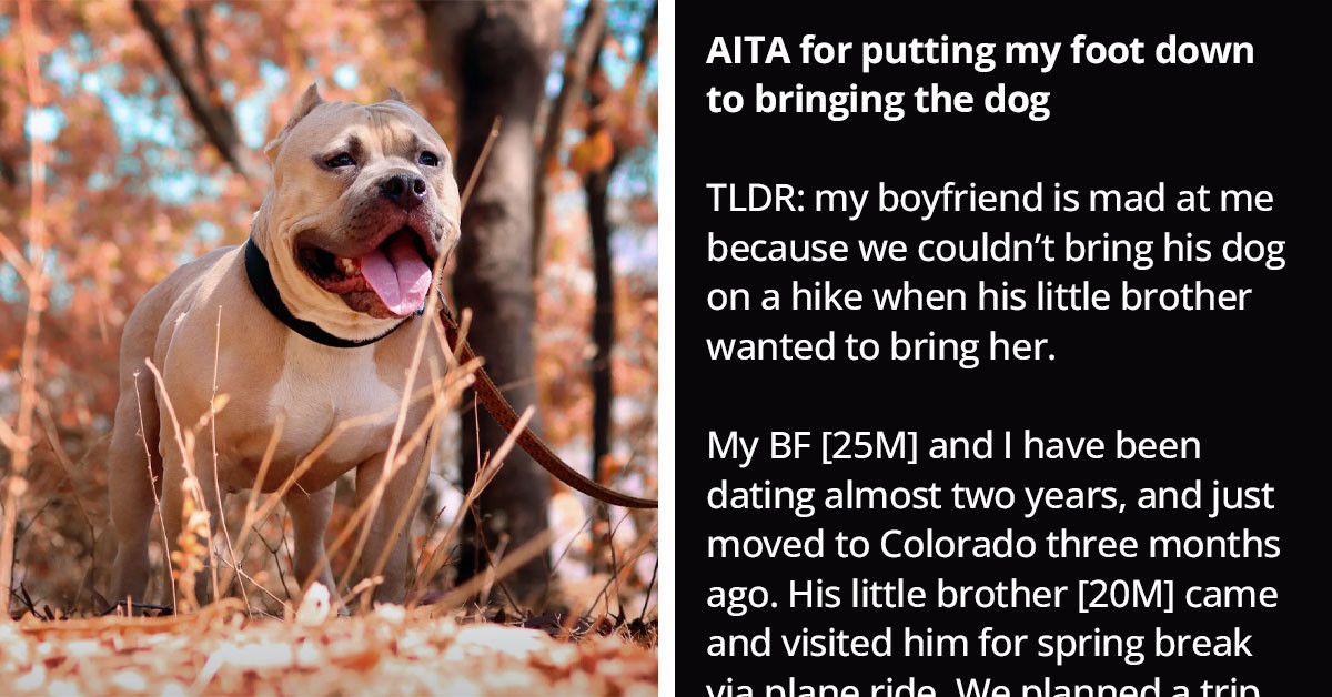 Redditor Asks If She's The A-Hole For Refusing To Bring Dog On Road Trip Due To Lack Of Space In Truck