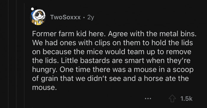 Rodents are smart when they are hungry.