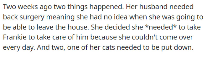 Two weeks ago, OP's husband's upcoming back surgery left her unsure about her ability to visit regularly, prompting her to believe that taking Frankie with her was necessary for his care.