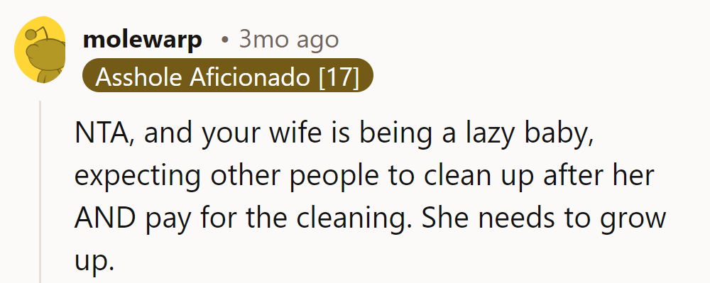NTA. Wife's a lazy baby wanting others to clean up and foot the bill. Time for her to adult up.