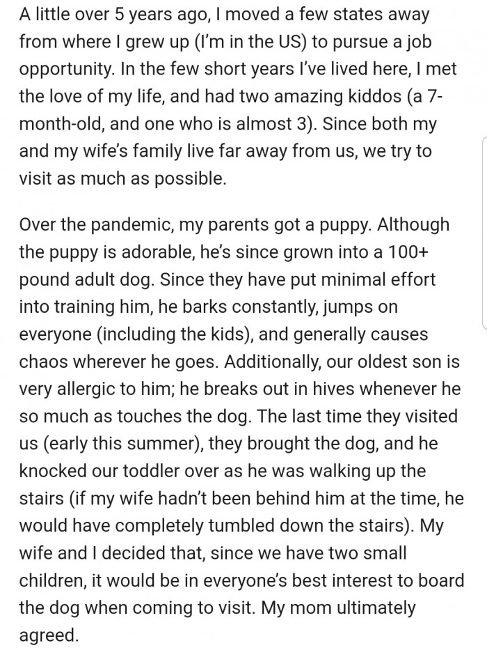 Unfortunately, the 100+ pound dog was a handful for everyone. So, the plan was for his parents to board the dog before every visit.