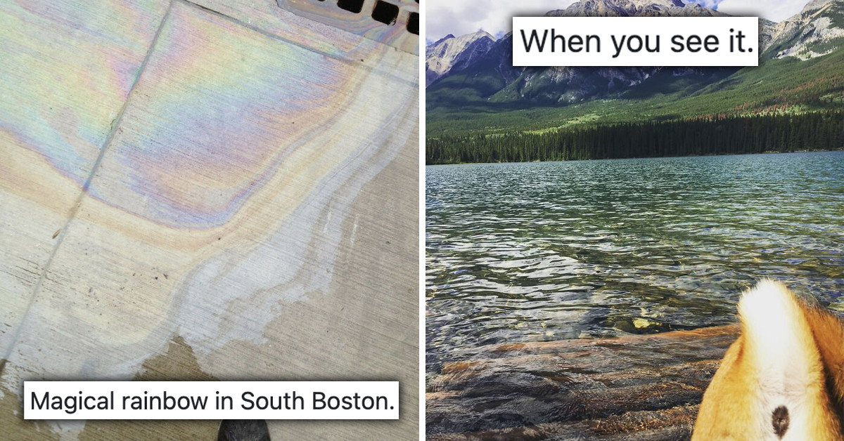 Redditors Share 40 Of The Ugliest Pictures Of The Earth With Hilarious Headlines