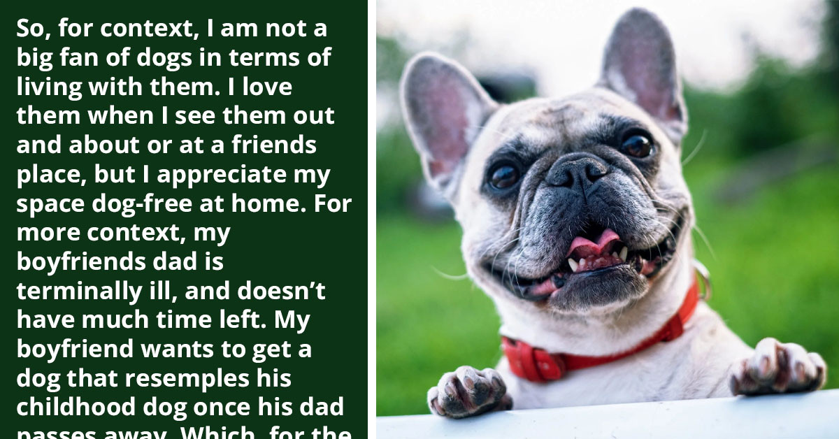 Redditor Reluctantly Agrees To BF's Wish To Bring A Dog Into Their Tiny Apartment, Puts Her Foot Down When She Hears It's A St. Bernard