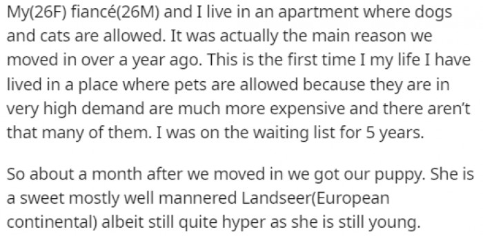 After spending five years on a waiting list, they finally managed to get a pet-friendly apartment, and they immediately got a Landseer puppy.
