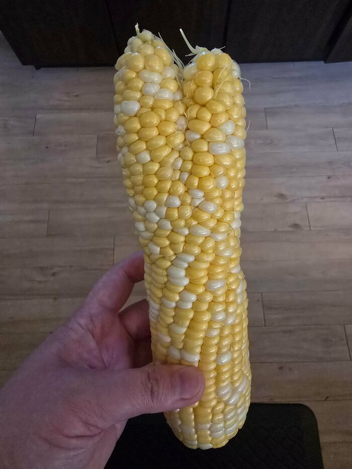 "Life Is Corn-Fusing Sometimes, But I'm Just Here To Ear It Out"