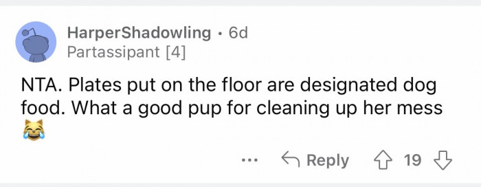 15. A very well-trained dog.