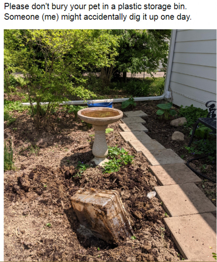 4. Don't bury your pet this way