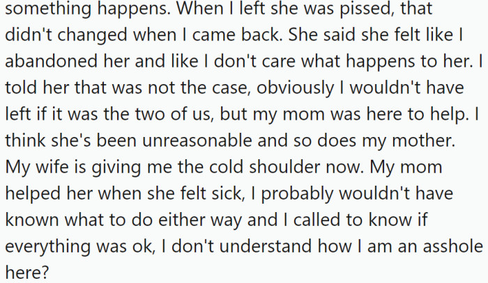 OP had a work meeting in another city that he needed to attend, as it was important for his career and his chances of getting a promotion. The meeting was not obligatory, but OP felt it was necessary for his professional growth.