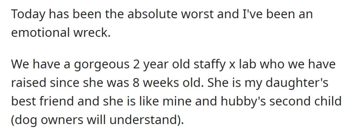 The OP said they have a dog which they love as their child: