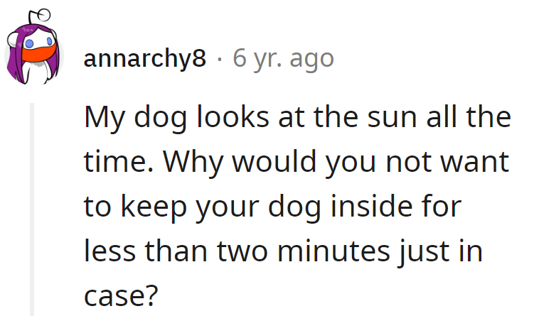 Canine logic: If it's not a tennis ball, it's not worth worrying about.