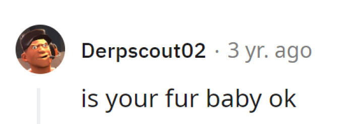 Whiskers intact, the furball reigns, unscathed by the chocolate fiasco.