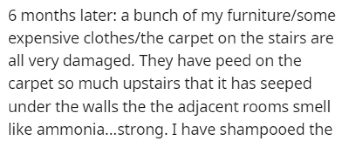 Now, a lot of OP's furniture, clothes, and carpets are damaged by the cats