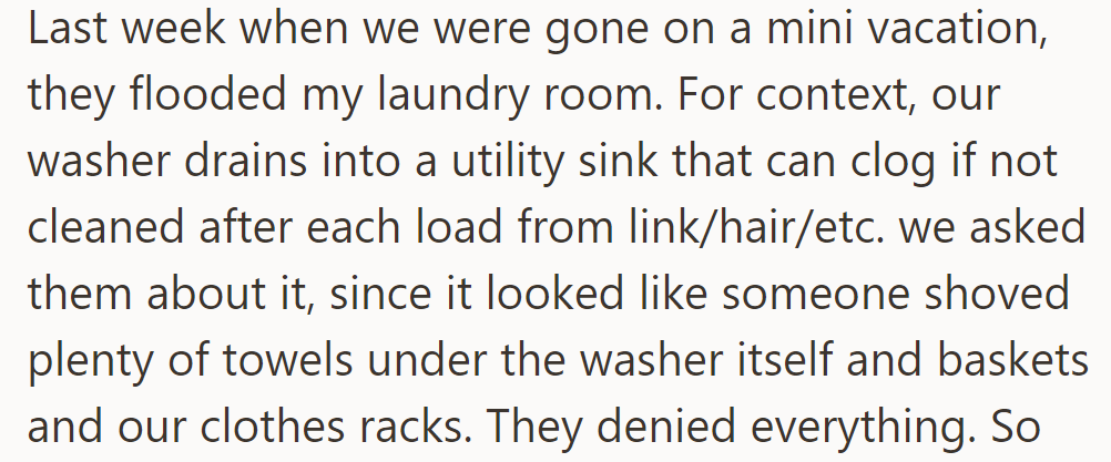 They flooded the laundry room while on vacation by neglecting sink maintenance, denying involvement despite evidence.