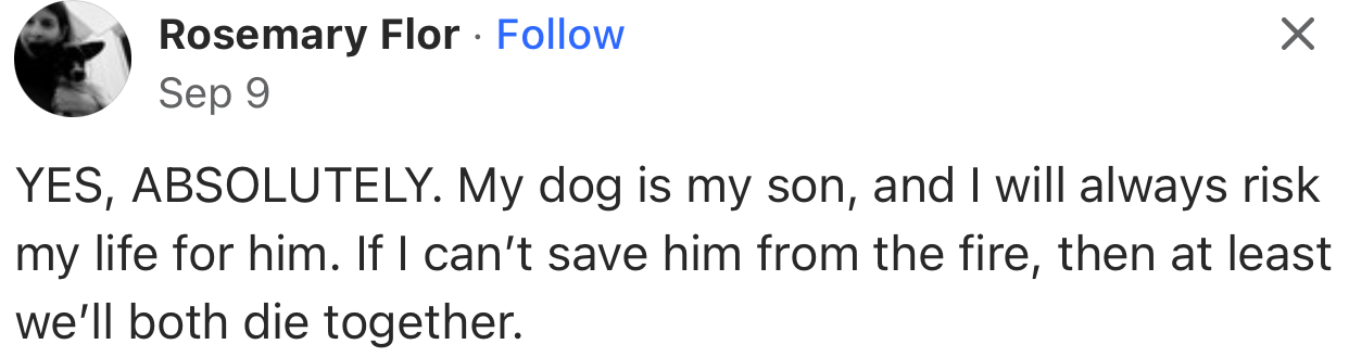 “YES, ABSOLUTELY. My dog is my son, and I will always risk my life for him.”
