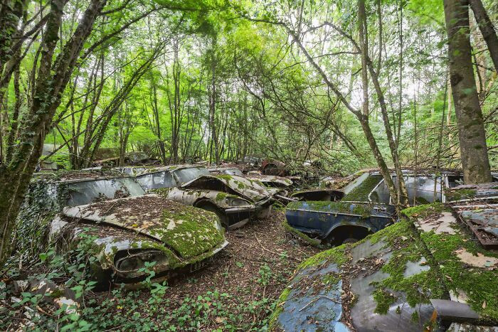 Abandoned Cars