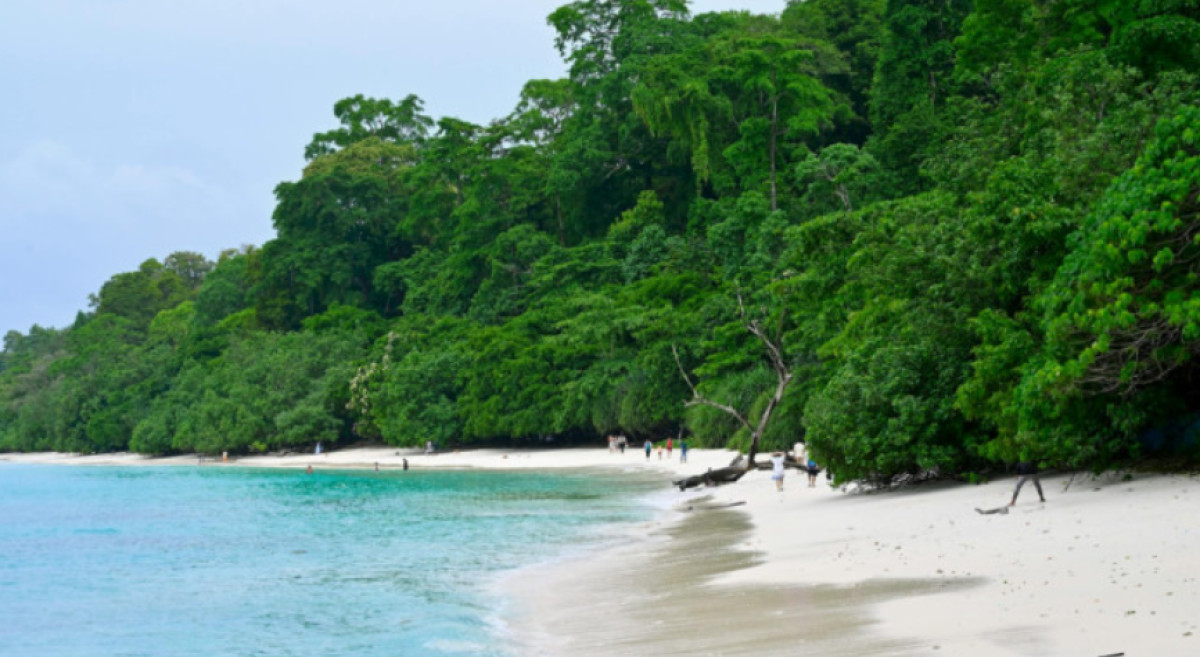North Sentinel Island: The Last Tribe That Has Said No