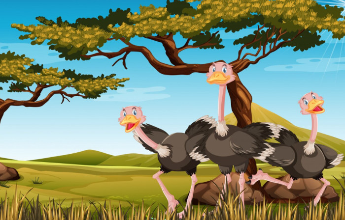 Bird Trivia Questions for Kids