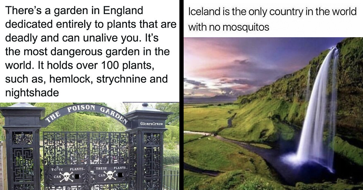 30 Fascinating Facts To Impress Your Coworkers And Make Them Laugh