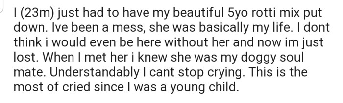 Losing a pet is definitely heartbreaking