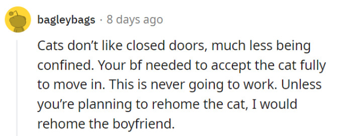 If rehoming the cat is not a consideration, it may be necessary to reevaluate the relationship and prioritize the cat's happiness and well-being by making the difficult decision to part ways with the boyfriend.