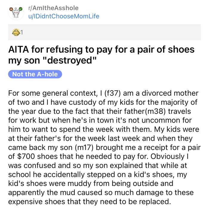 Here's the original post by Reddit user u/IDidntChooseMomLife: