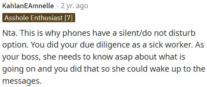OP responsibly informed his boss about his sickness at 3 a.m., ensuring she was aware of the situation when she woke up.