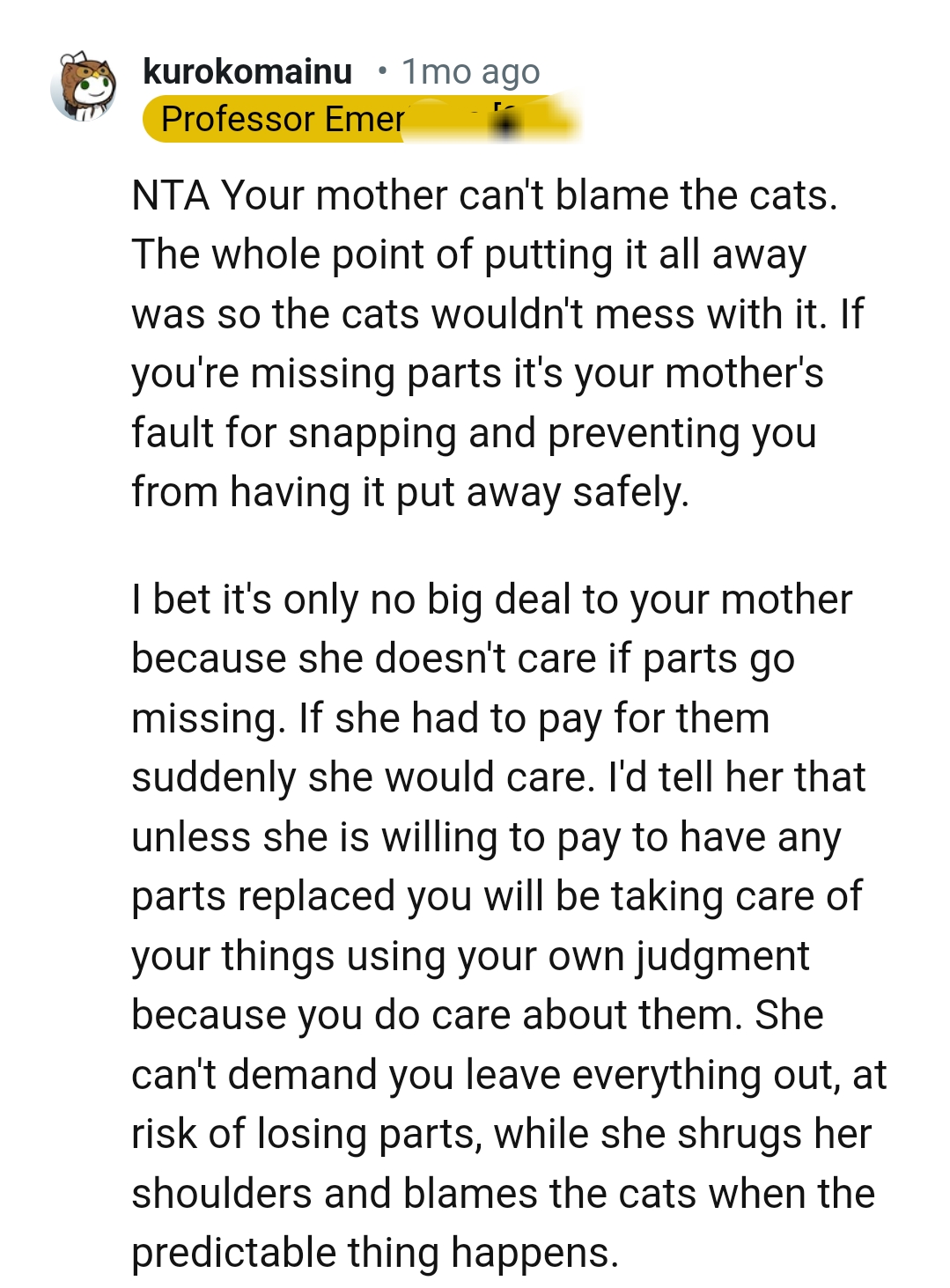 It's No Big Deal to OP's Mom Because She Doesn't Care About the Missing Parts