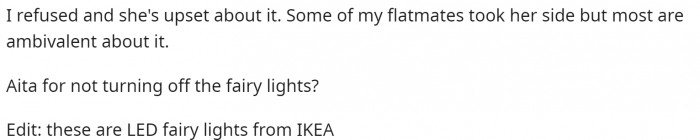 OP ends the post by asking if she is wrong and providing a bit more information on what type of fairy lights they are.