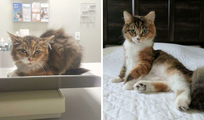 "Lilly’s Transformation - Almost A Year Apart"