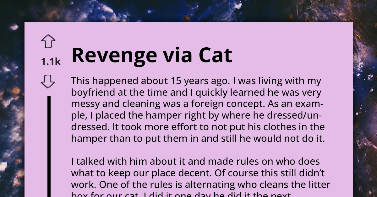 Redditor Tells The Tale Of Revenge Via Cat