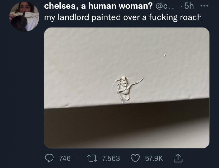 10. The landlord who leech paints over a roach