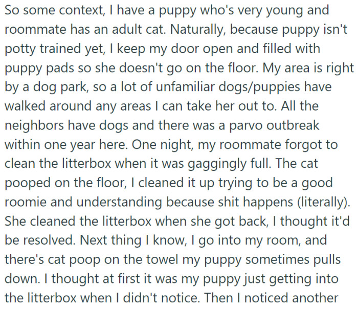She has a puppy and her roommate has a cat. That cat loves to do its number one and two in OP's room.