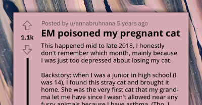 Redditor Asks How To Get Revenge On Entitled Parent Who Killed Her Cat Because She And Her Daughter Didn't Like It