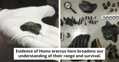 Ancient Human Secrets Unearthed in 140,000-Year-Old Underwater Discovery