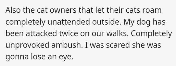 Don't get a pet in general if you're not going to be responsible for them