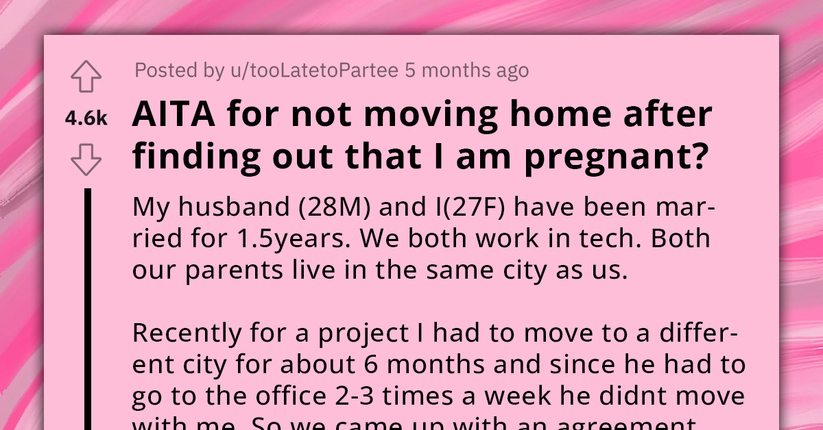 MIL Accuses Redditor Of Taking Her Son Away, Ignoring Her Pregnancy And Work Schedule