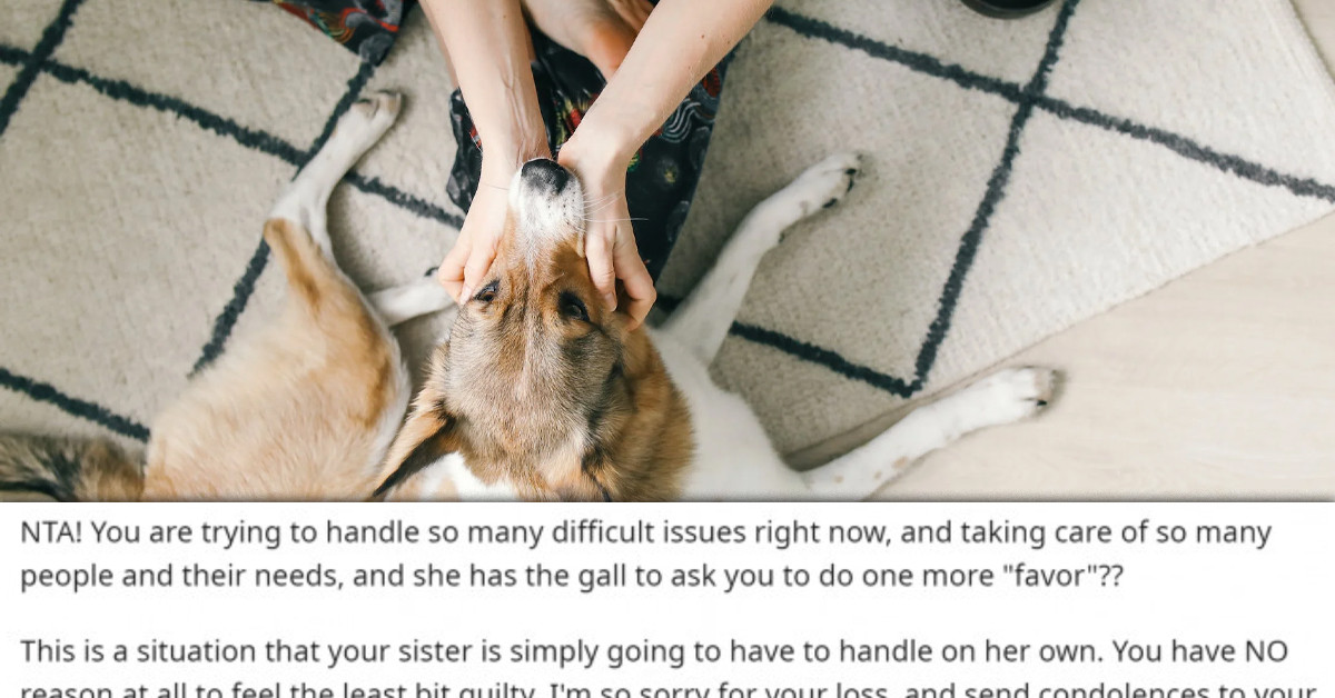 Woman Won't Dog Sit For Her Sister And She's Not Happy About It, But The Reason Is Well Worth It