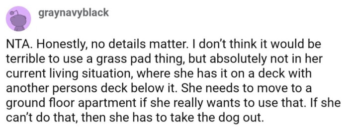 There Is No Situation Where It Could Be Acceptable to Use Dog Grass on a Balcony