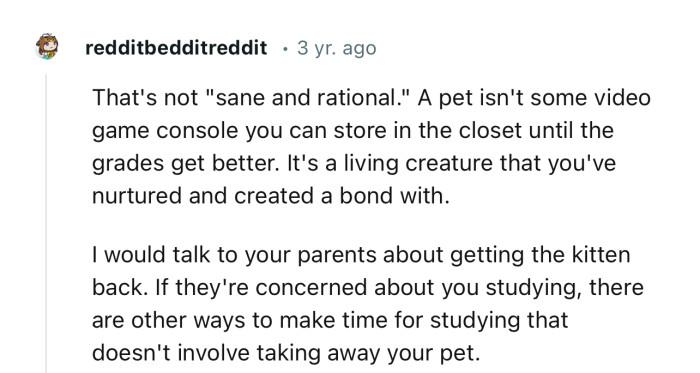 A pet isn't some video game console you can store in the closet until the grades get better.