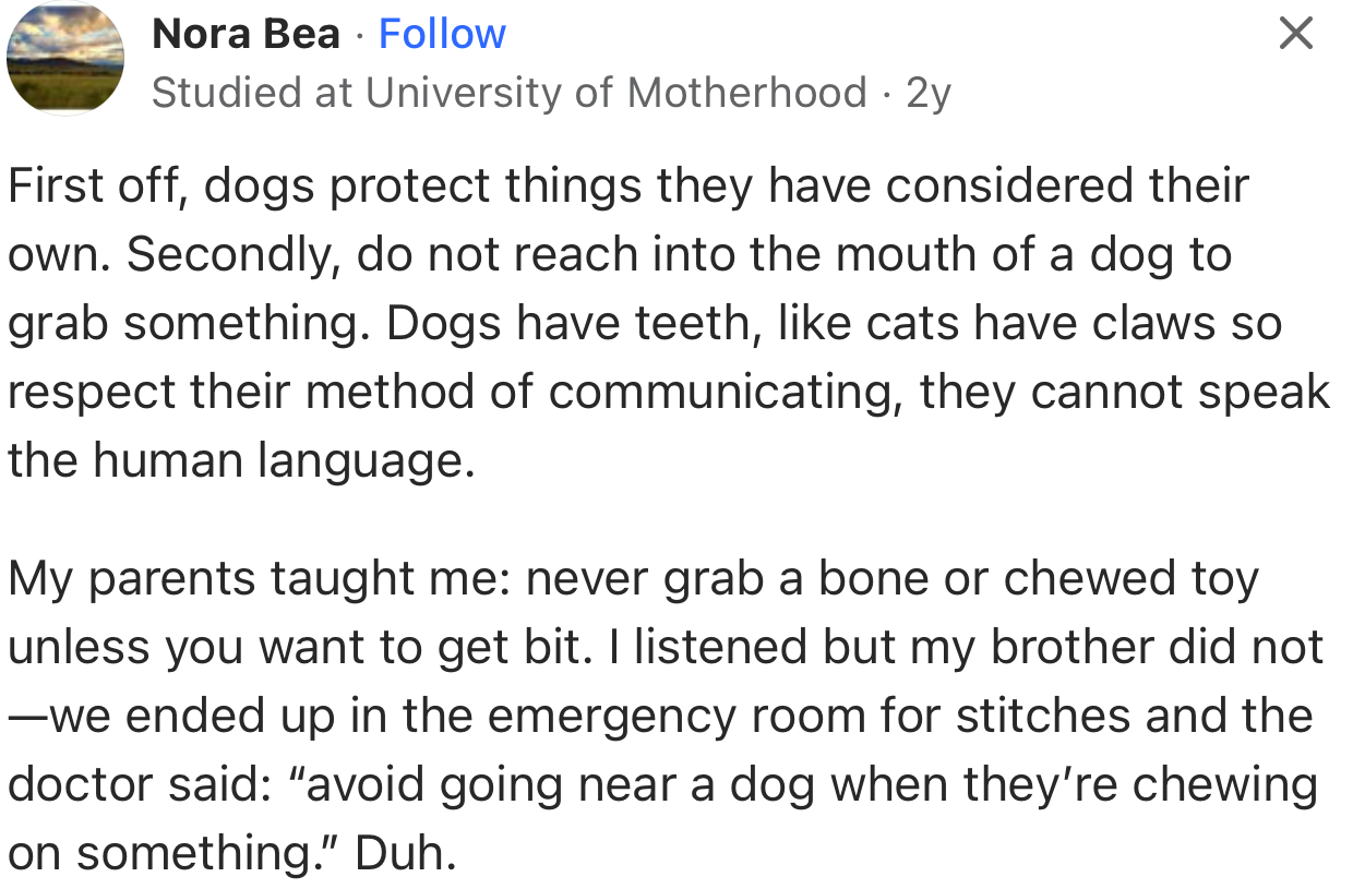 Once a Dog Has Considered Something Its Property, It Will Protect It