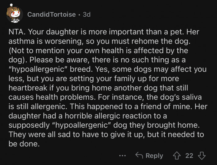 OP's daughter is more important than a pet.